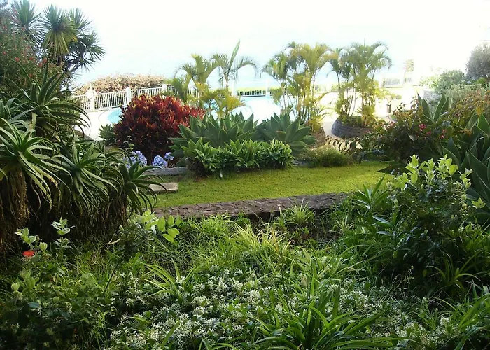 Oceanfront Lejlighed