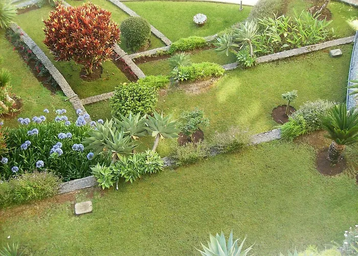 Lejlighed Oceanfront *